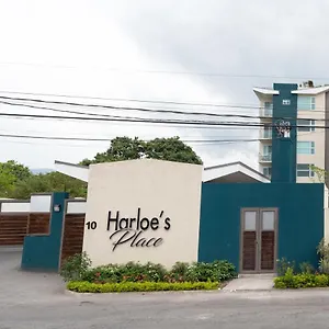 Harloe'S @ Kingstongo876 Kingston